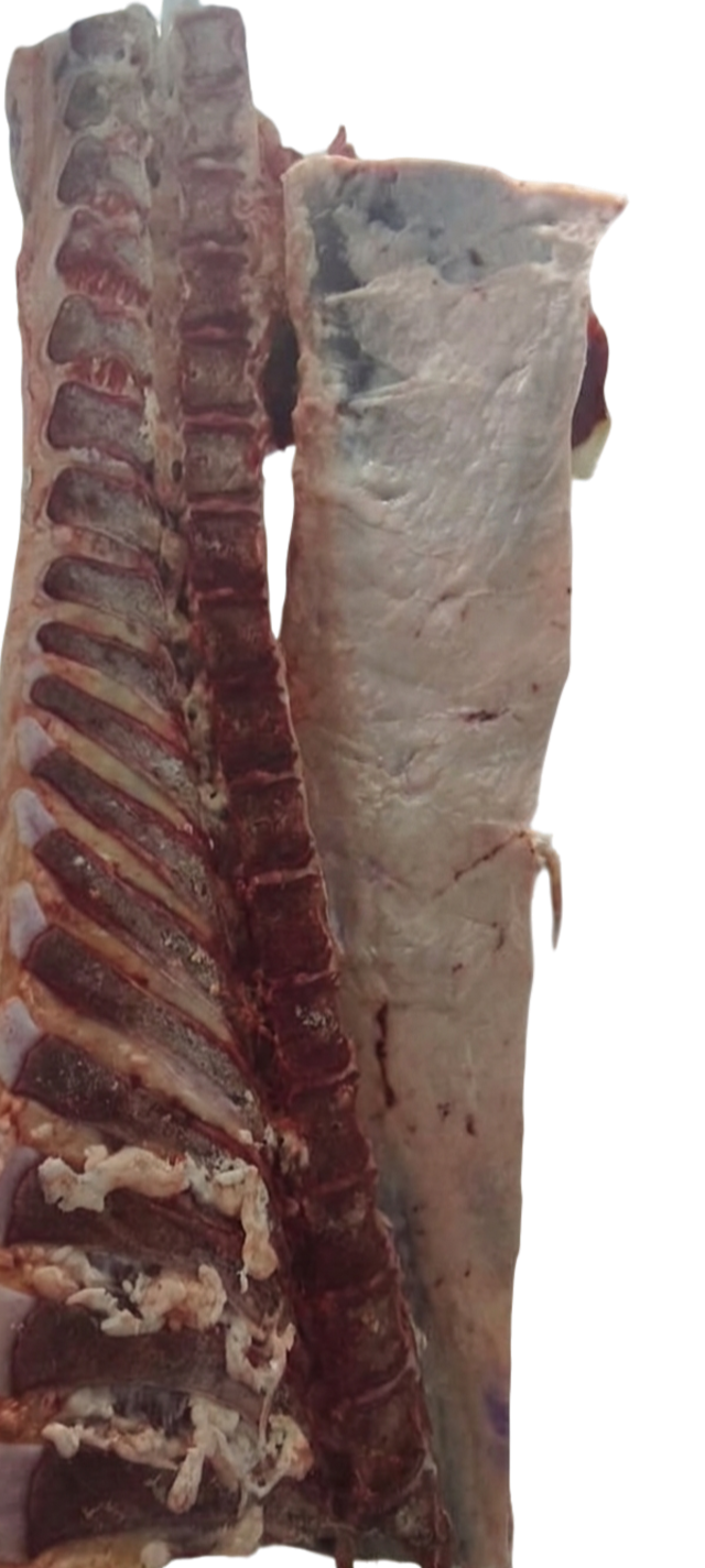 Pieza: Bife sin Lomo