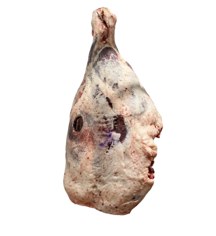 pieza de cuarto trasero